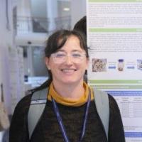 Profile picture for user luxavier